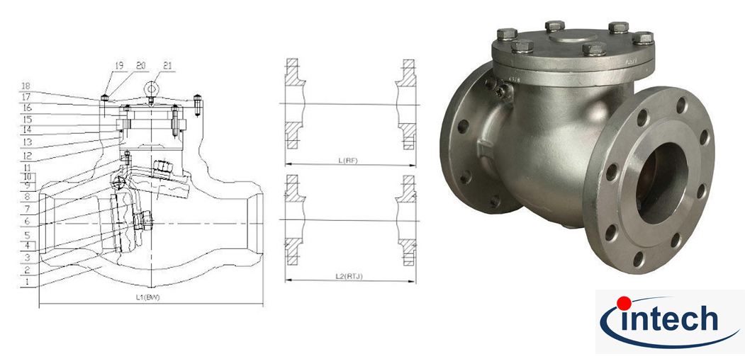 Intechvalve pressure seal swing check valve main